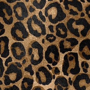 Meet your Posher, Jbeauty